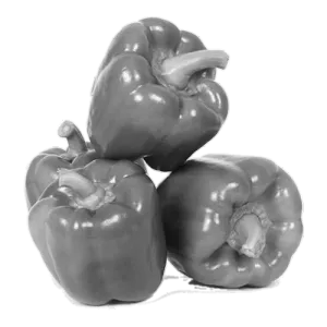 Capsicum - Green