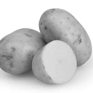 Potato ( ഉരുളകിഴങ് )- Mixed
