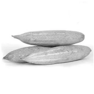 Snake Gourd ( പടവലങ്ങ)( നാടൻ )