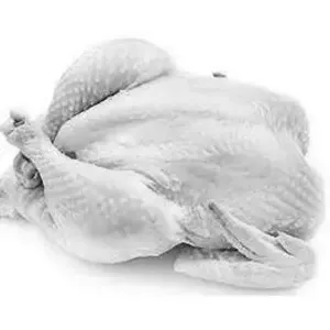 Fresh Chicken