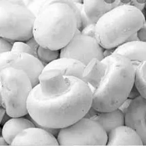 Mushroom button upto 220 gms
