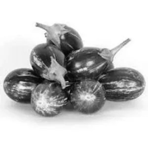 கத்தரிக்காய்(Brinjal)