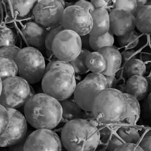 பண்ணீர் திராட்சை(seed Grapes)