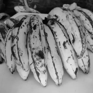 நேந்திரன் பழம்(Nenthiran banana)