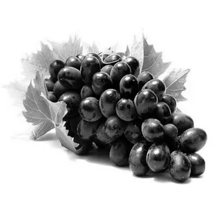 திராட்சை(seedless Grapes)