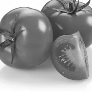 Premium Tomato