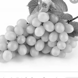 பச்சை திராட்சை(Seedless Green Grapes)