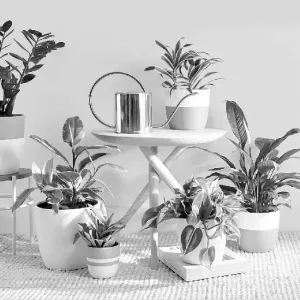 Organics@Gayatri Puja Store 