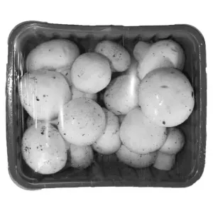மஸ்ரூம்(Button Mushroom)