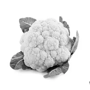 காலி பிளவர்(Cauliflower Medium)