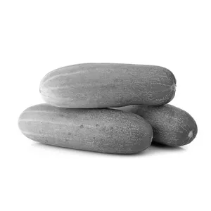 Indian Cucumber