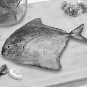 கருப்பு வாவல் / Black Pomfret