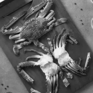நண்டு / Blue Crab(Big)