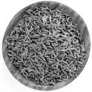 Cumin Seed