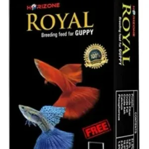 Royal guppy fish food