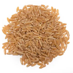 WHEAT MP 