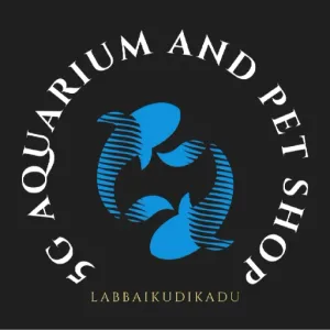 5G AQUARIUM