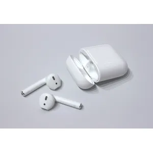 EARBUDS 