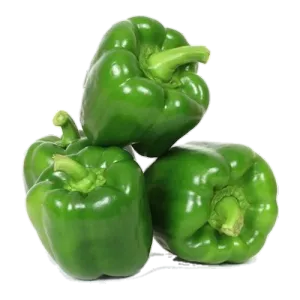 Capsicum