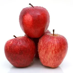 KINNOR APPLE 