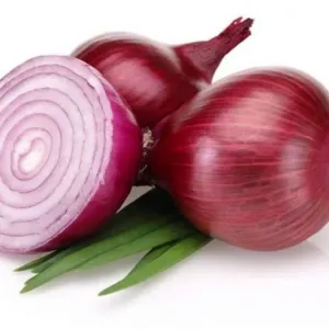 NASIK ONIONS