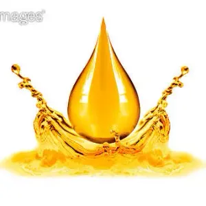 Oil 