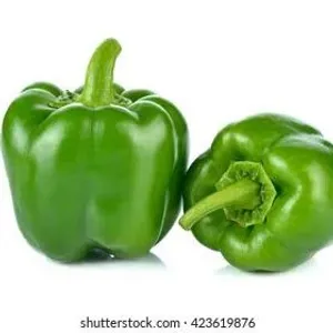 ക്യാപ്‌സിക്കും (capsicum)