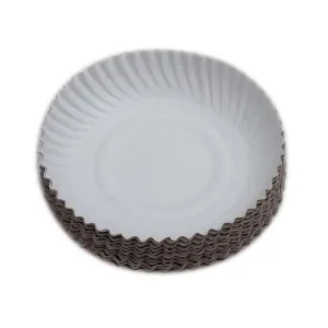 Disposable  Plate ( 10 Nos)