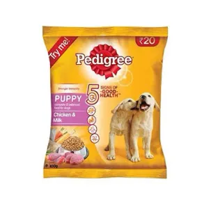 Pedigree puppy