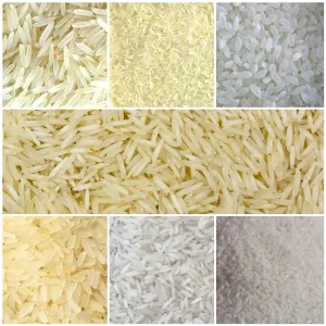 RICE (चावल)