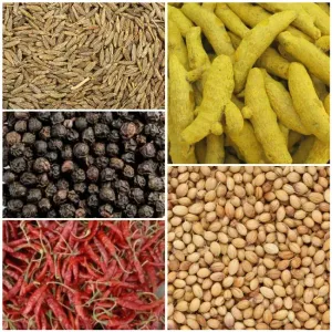 SPICES (मसाले)