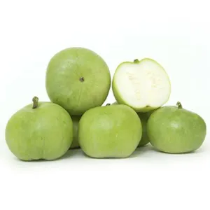 TINDUS / टिंडा / ટીંડા