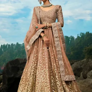 Adyaa women's soft net and sequin Lehenga 