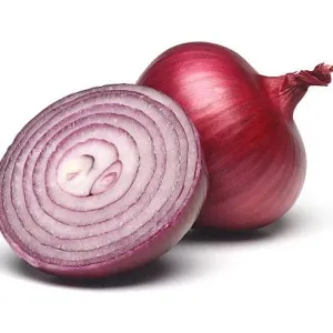 कांदा {onion}