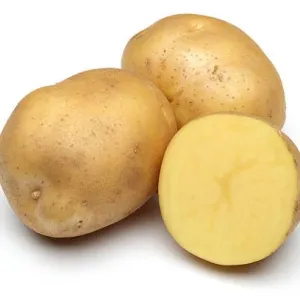 बटाटे {potato}