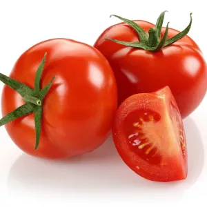 टोमॅटो {tomato}