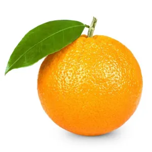 संत्री {ORANGES}