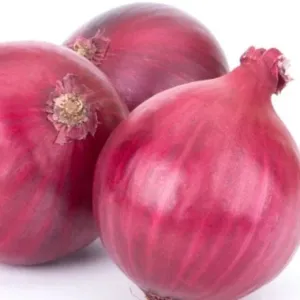 Onion