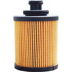 Swift oil filter