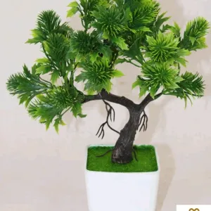 Unique Plants 