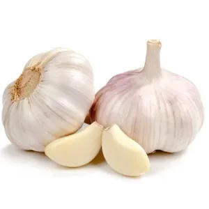 Garlic / রসুন