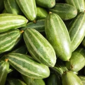 Pointed Gourd / পটল