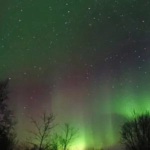 Aurora 