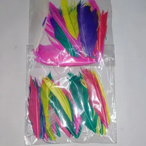 Feather crafts