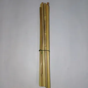 Kulfi sticks