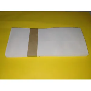 White Envelope 10"x4.5"