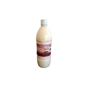 Day Night Floor Cleaner 1L