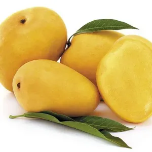 Mango-900gm-1.1kg