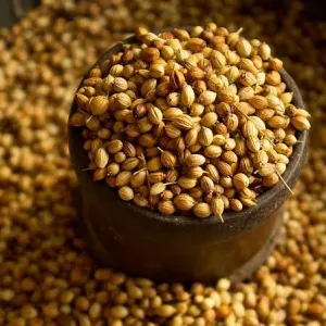 மல்லி