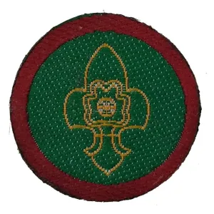 Rank Badge Ass. Scout Master